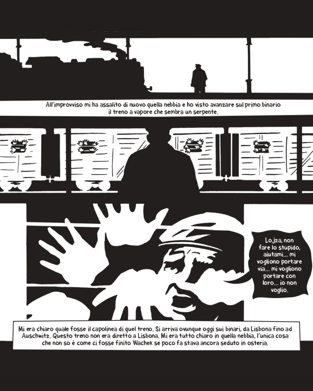 I Sudeti e la Cecoslovacchia: Storia e memoria nel fumetto di Alois Nebel