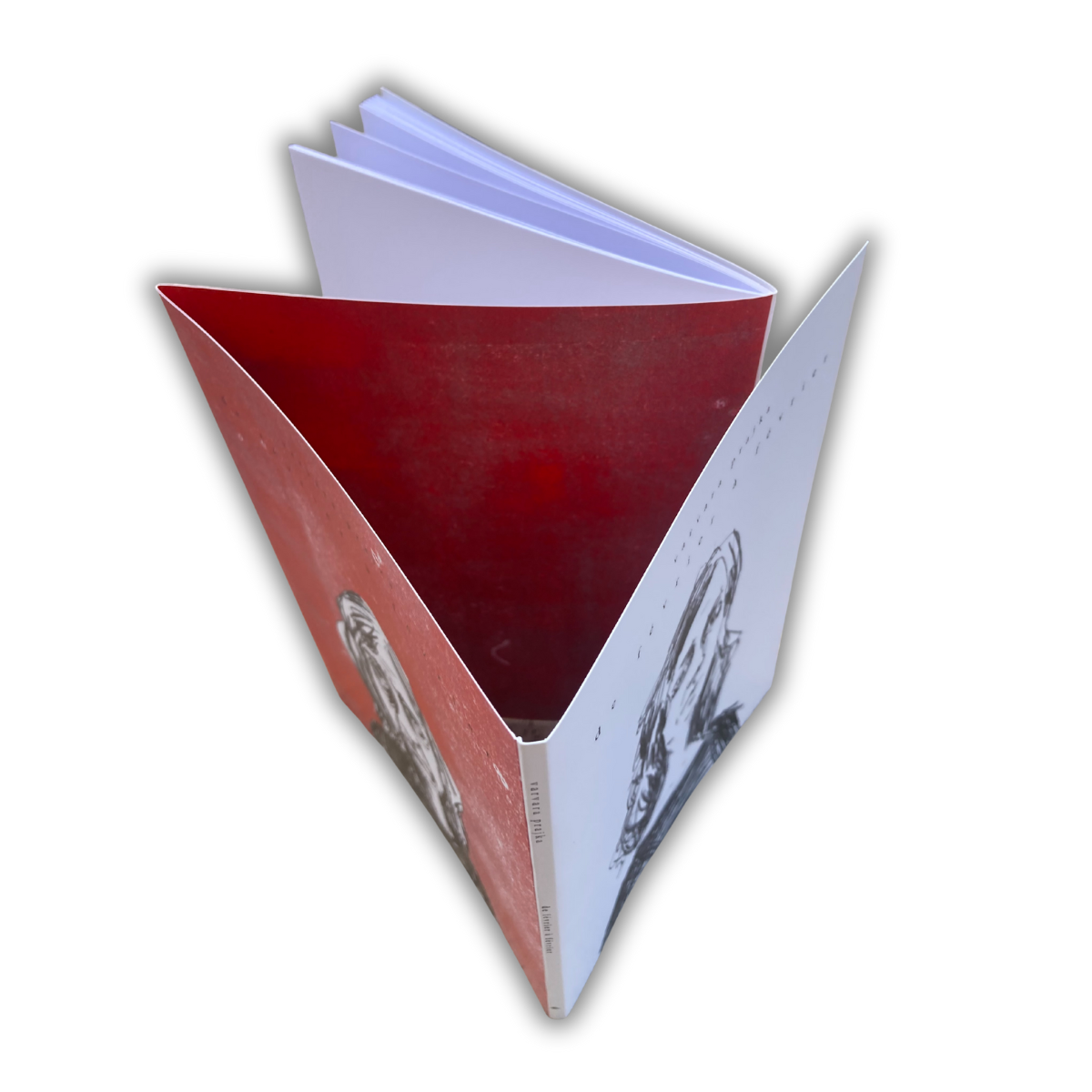 Livre De février à février, ouvert et vu de haut: couverture et quatrième avec doubles rabats visibles.